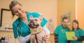 Veterinary assistent with a dog