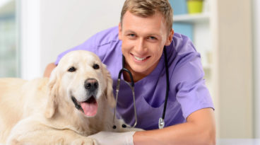 Veterinary Assistant with a Dog